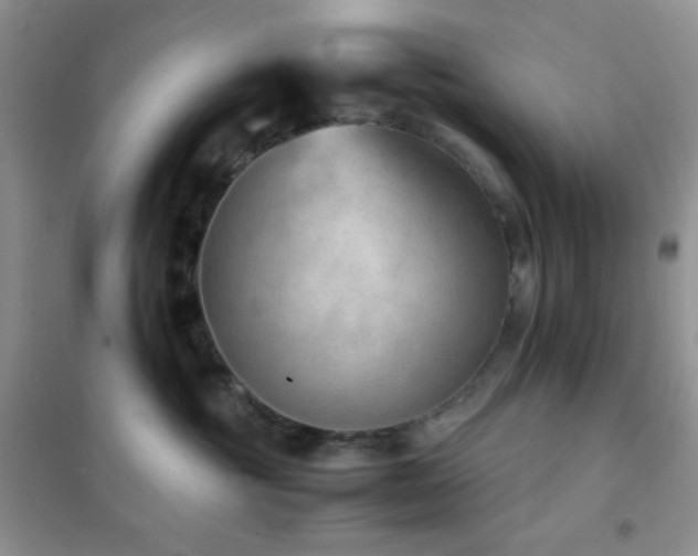 X0000102380381200808011542