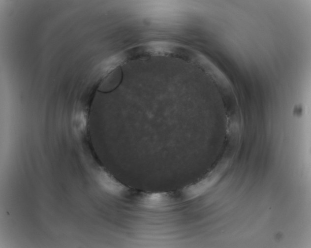 X0000102380382200808011542