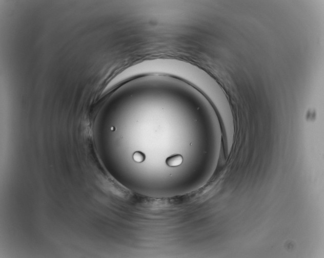 X0000102380384200808011542