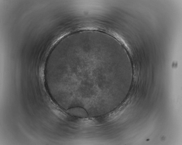 X0000102380386200808011541