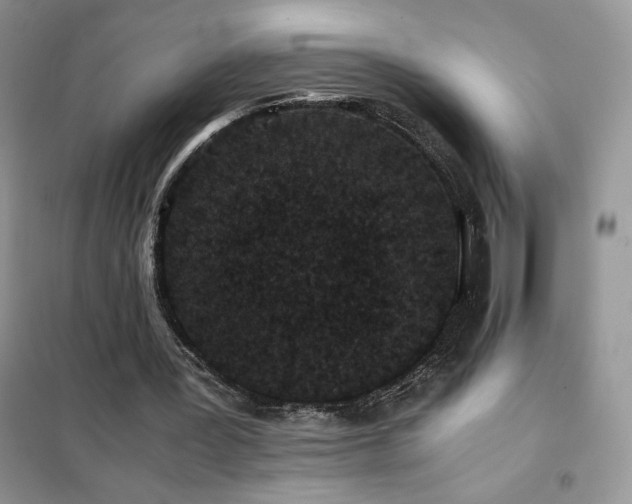 X0000102380387200808011541