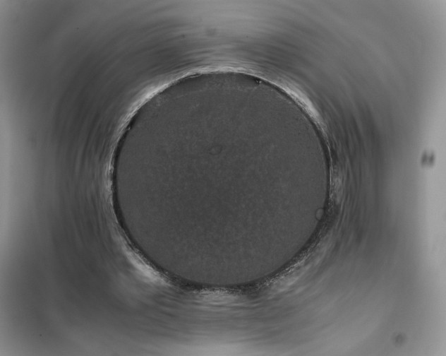 X0000102380389200808011541