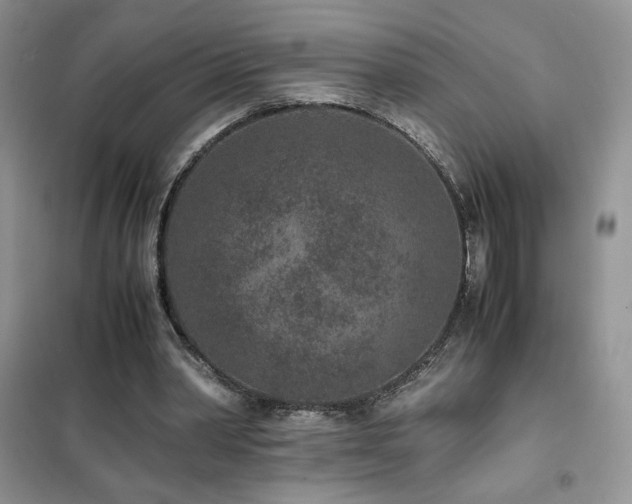 X0000102380390200808011541