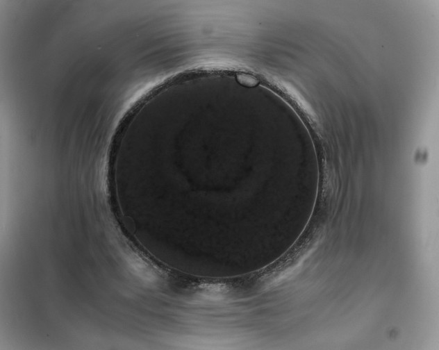 X0000102380391200808011541