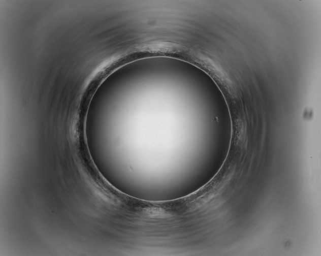 X0000102380392200808011541