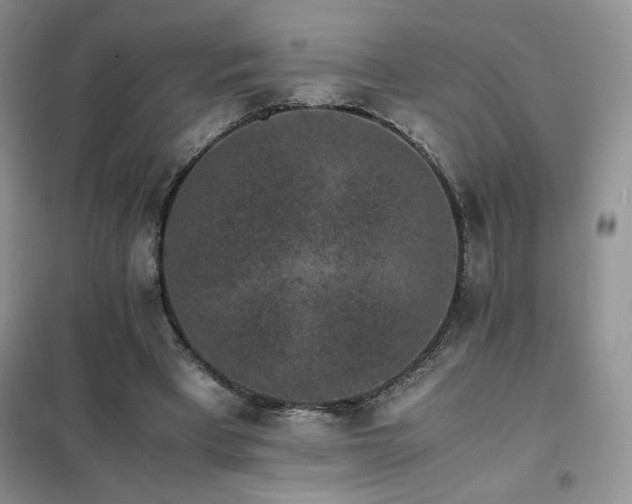 X0000102380393200808011541