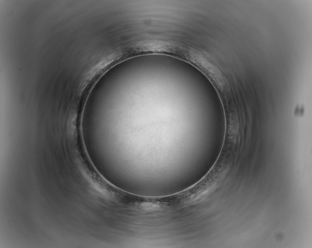 X0000102380394200808011541