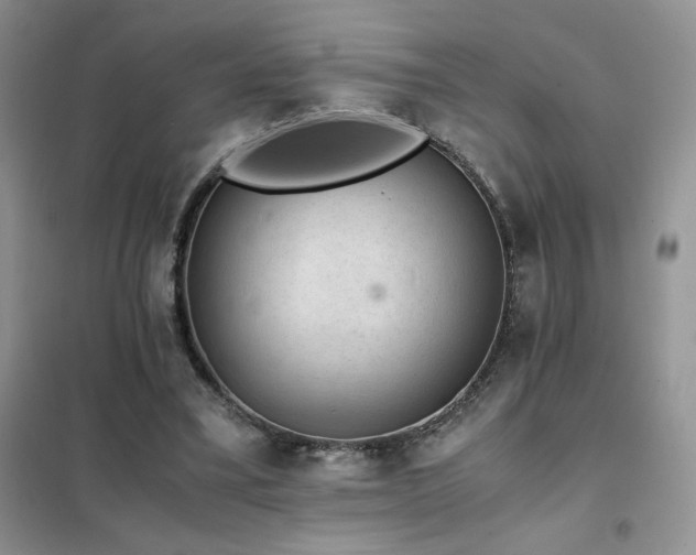 X0000102380395200808011541