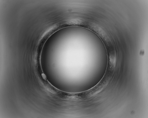 X0000102380396200808011541