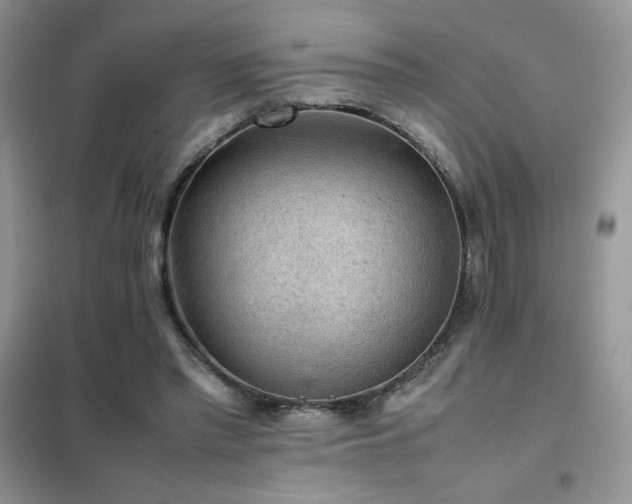 X0000102380397200808011541
