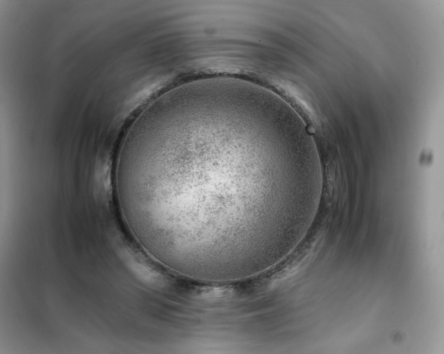 X0000102380398200808011541