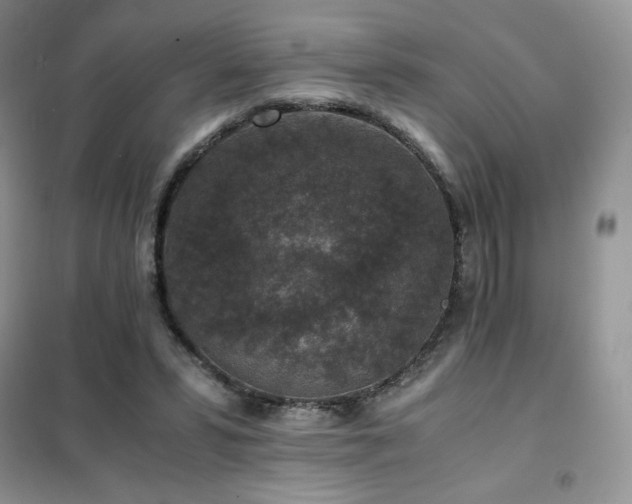 X0000102380399200808011541