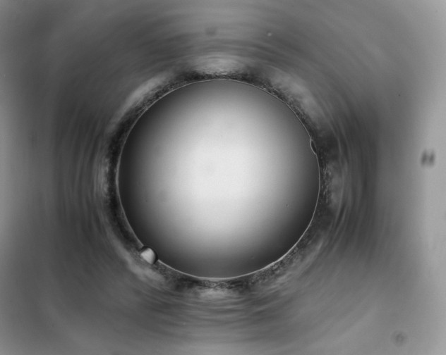 X0000102380400200808011541