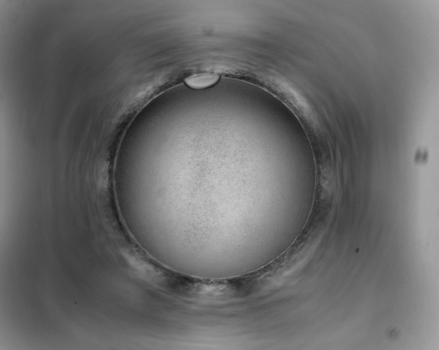 X0000102380401200808011541