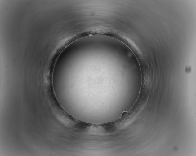 X0000102380403200808011541