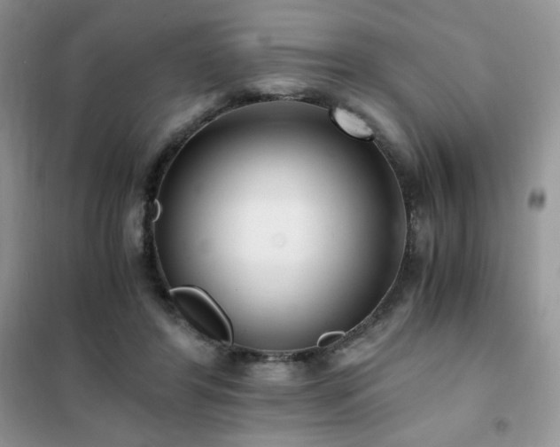 X0000102380404200808011541