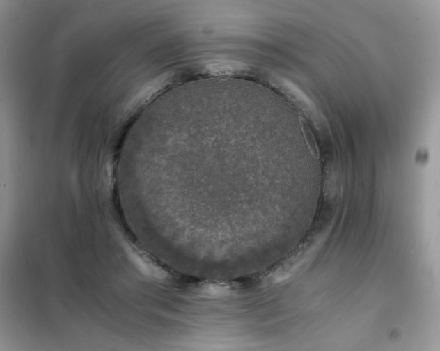 X0000102380405200808011541