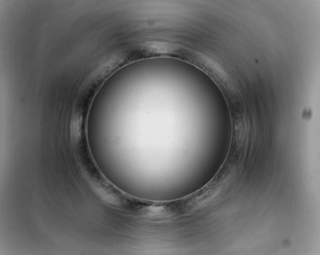 X0000102380406200808011541