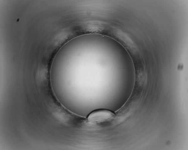 X0000102380407200808011541