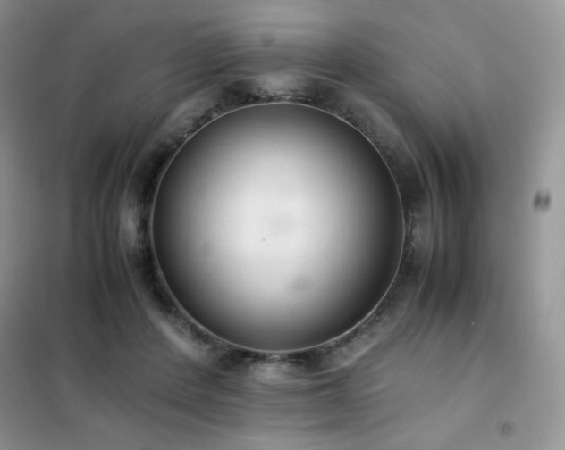 X0000102380408200808011541