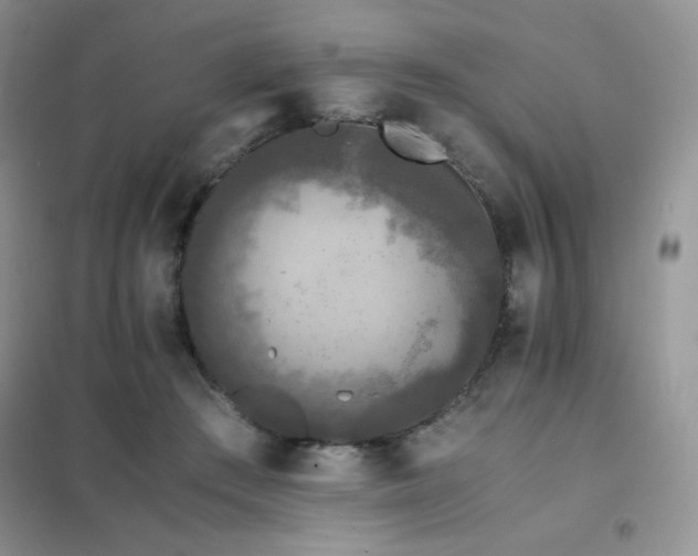 X0000102380409200808011541