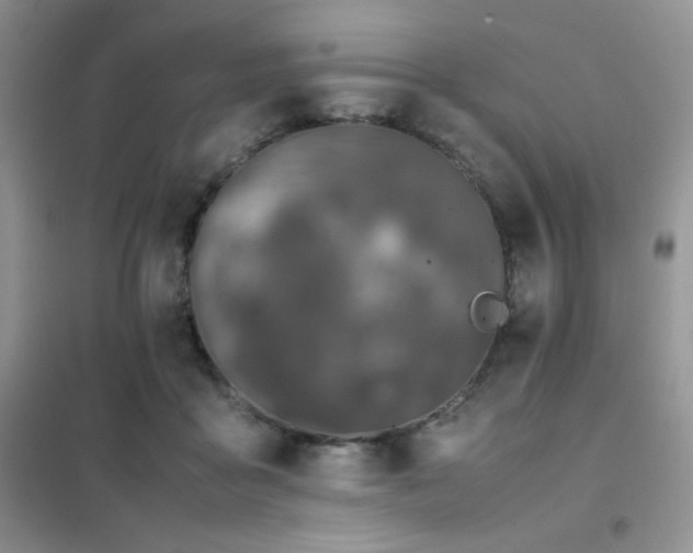 X0000102380411200808011541