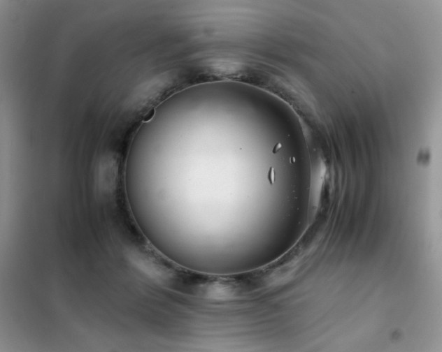 X0000102380412200808011541