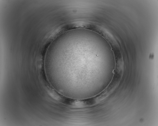 X0000102380413200808011541