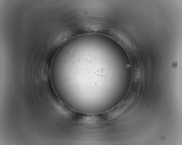 X0000102380414200808011541