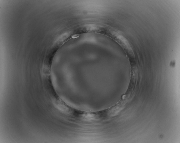 X0000102380419200808011541