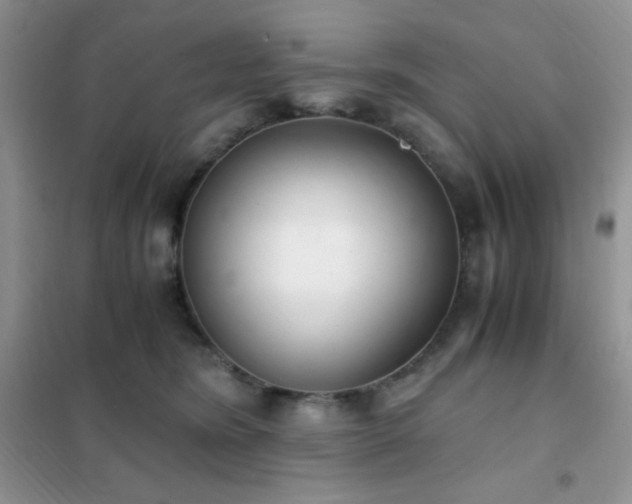 X0000102380420200808011541