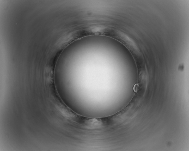 X0000102380421200808011541