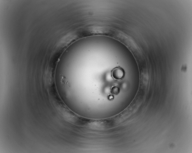 X0000102380422200808011541