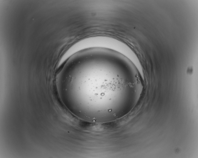 X0000102380423200808011541