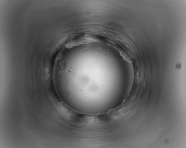 X0000102380424200808011541