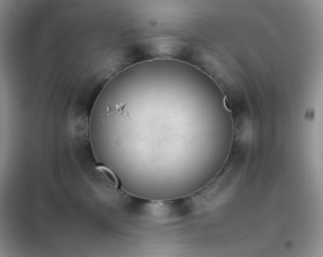 X0000102380425200808011541