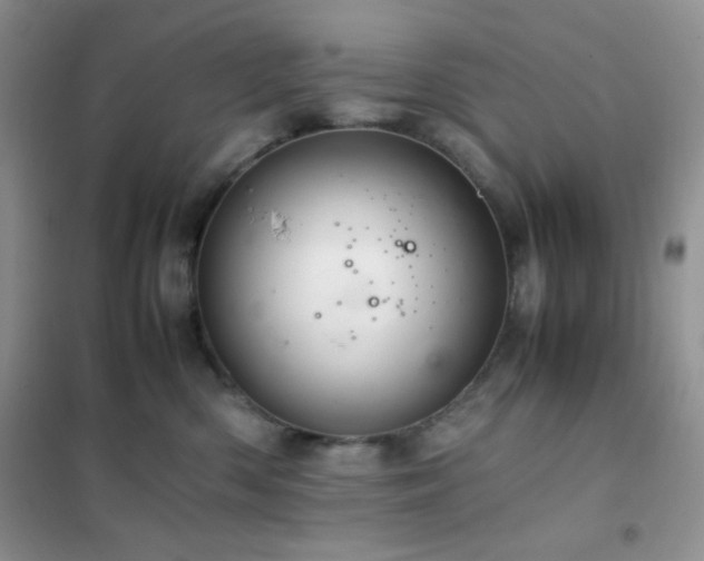 X0000102380426200808011541