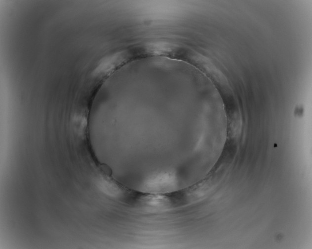 X0000102380427200808011541