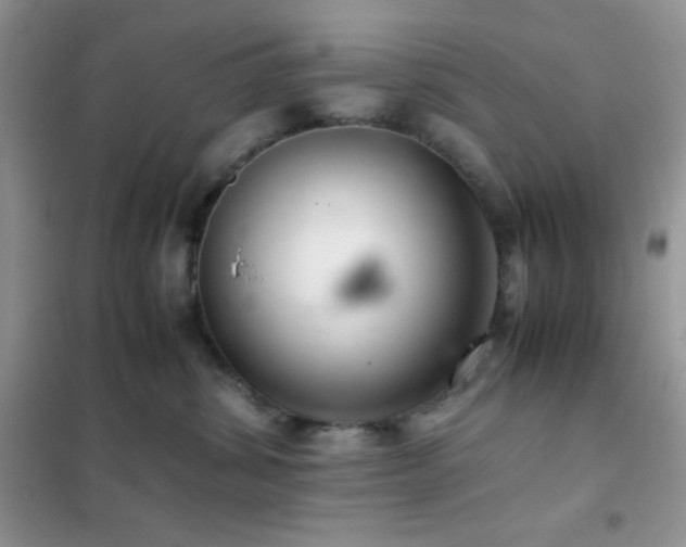 X0000102380428200808011541