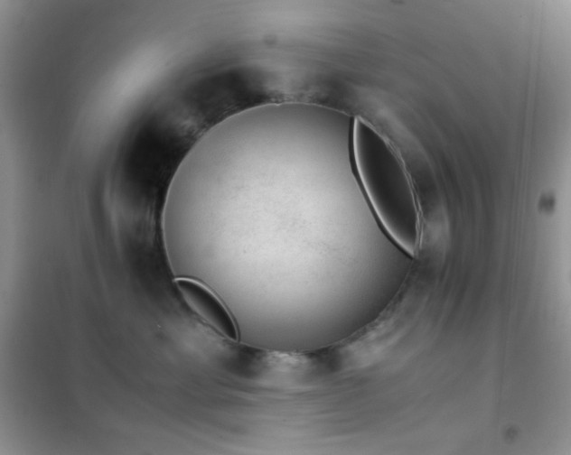 X0000102380429200808011541