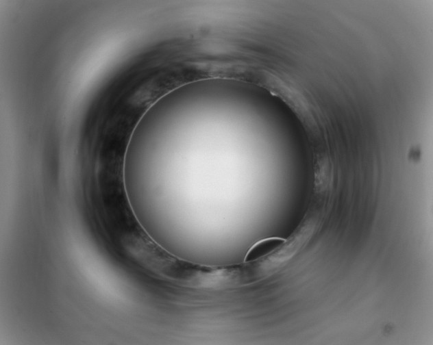 X0000102380430200808011541