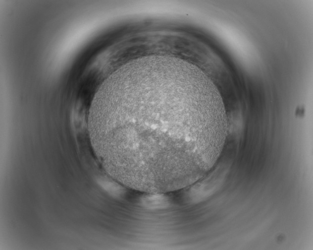 X0000102380431200808011541
