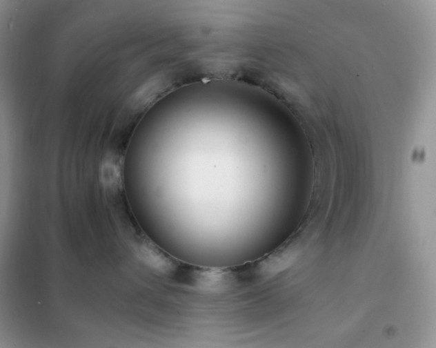 X0000102380432200808011541