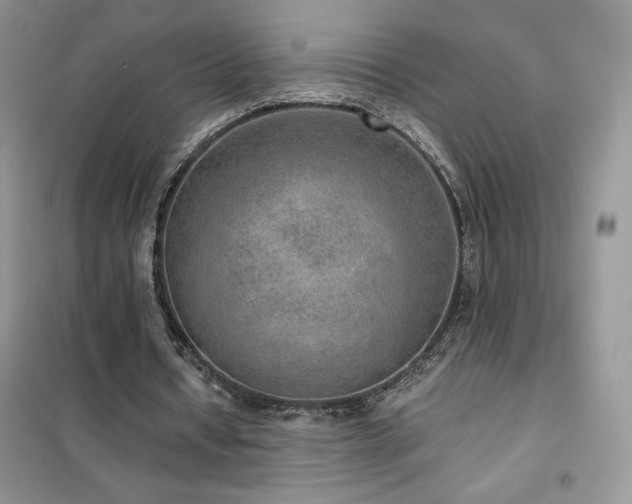 X0000102380434200808011540