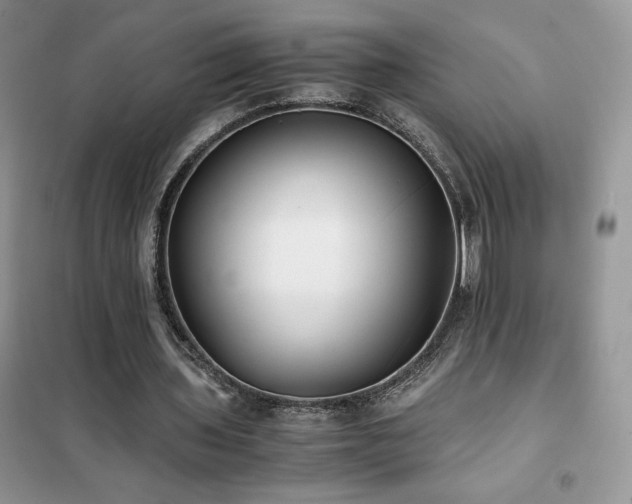 X0000102380435200808011540