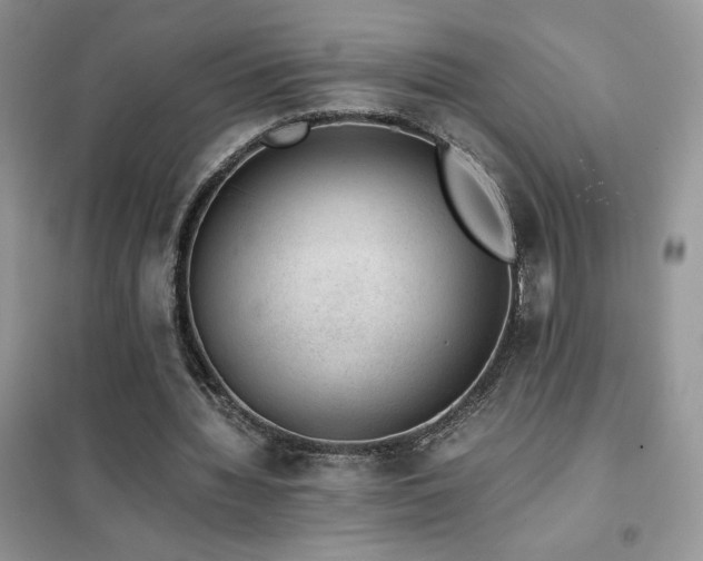 X0000102380436200808011540