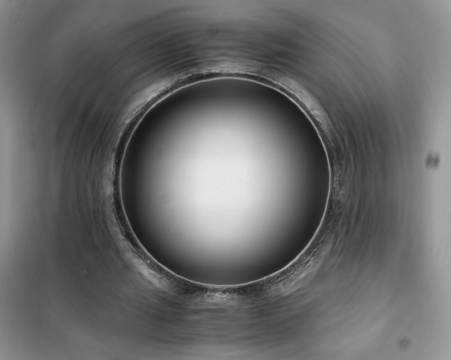 X0000102380437200808011540