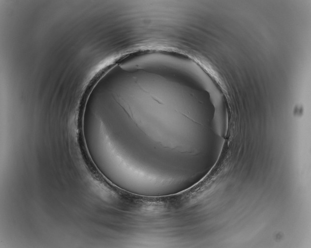 X0000102380438200808011540