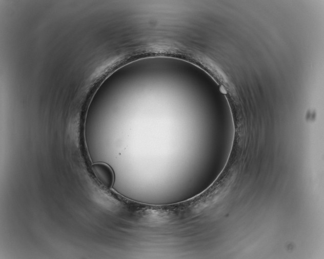 X0000102380442200808011540