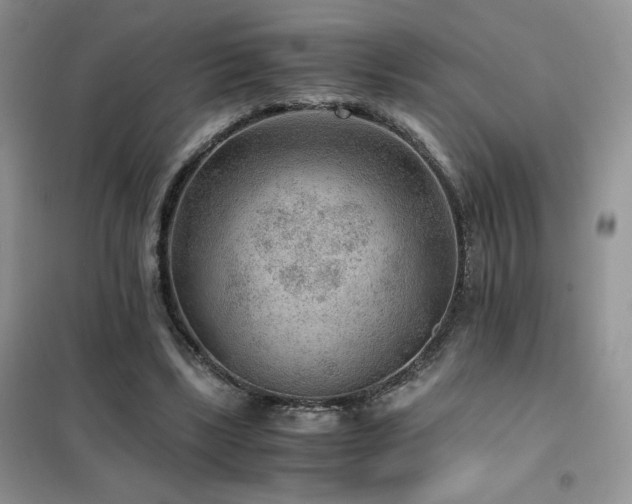 X0000102380443200808011540